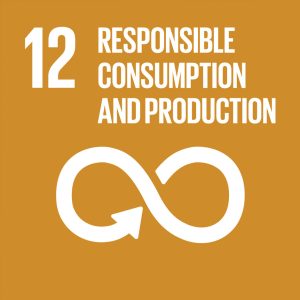 SDG12