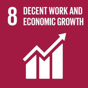 SDG8